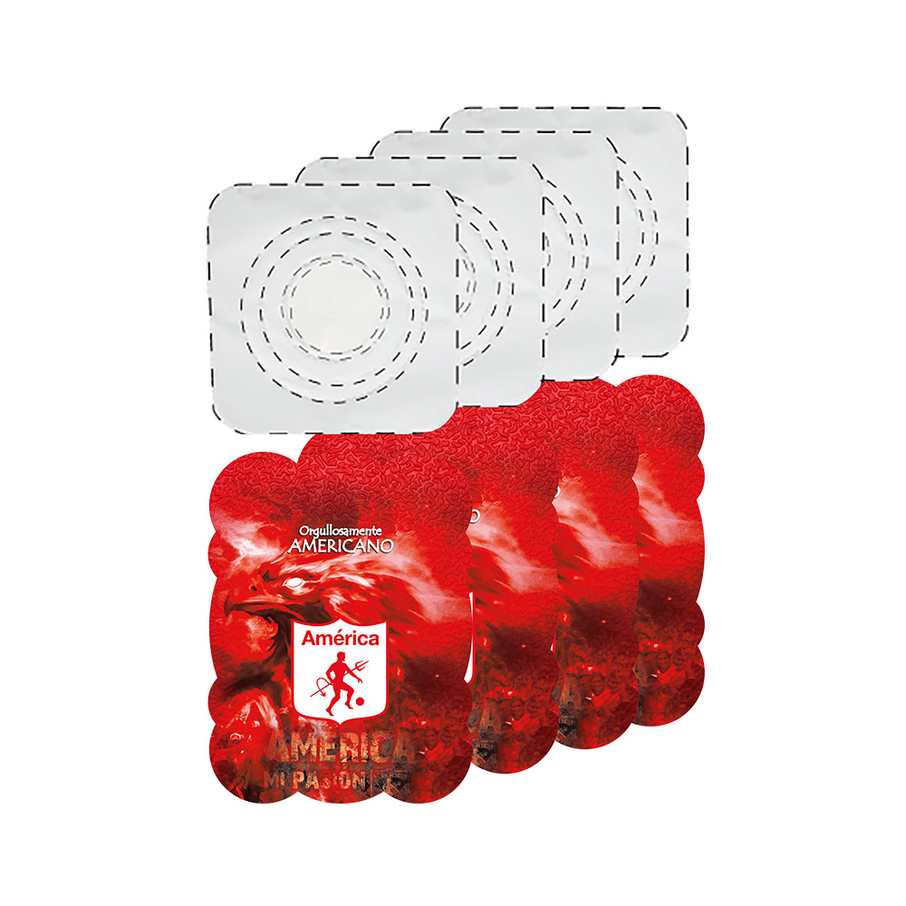 FESTON TEMATICO AMERICA 