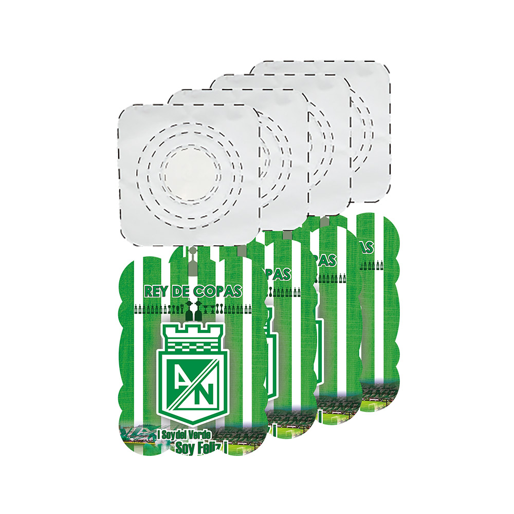 FESTON TEMATICO NACIONAL 