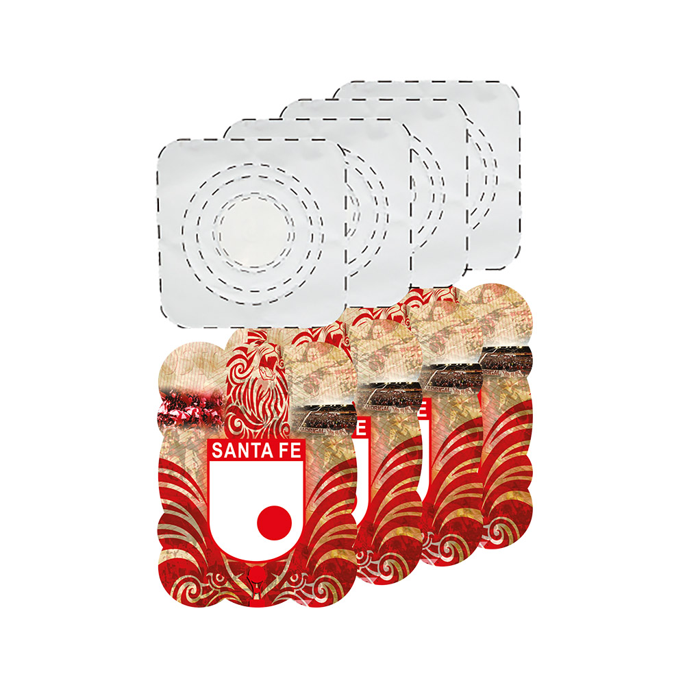 FESTON TEMATICO SANTA FE 