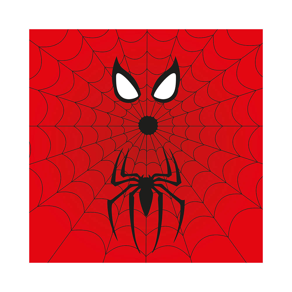 SPIDERMAN ESCUDO