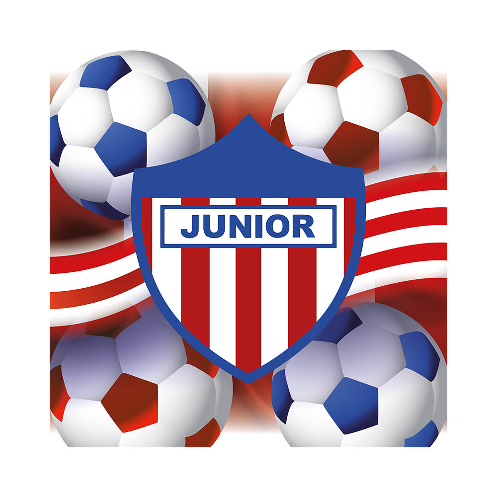 SERVILLETA X15 JUNIOR 